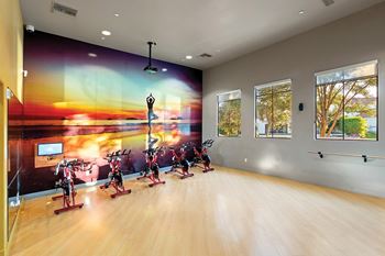 Yoga studio/spin room